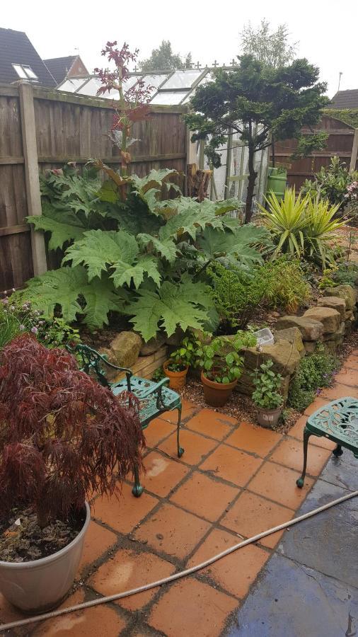 Self Contained Ground Floor Bedroom With Ensuite Wet Room Continental Breakfast Included Parking For 1 Car Outside Heanor Екстериор снимка