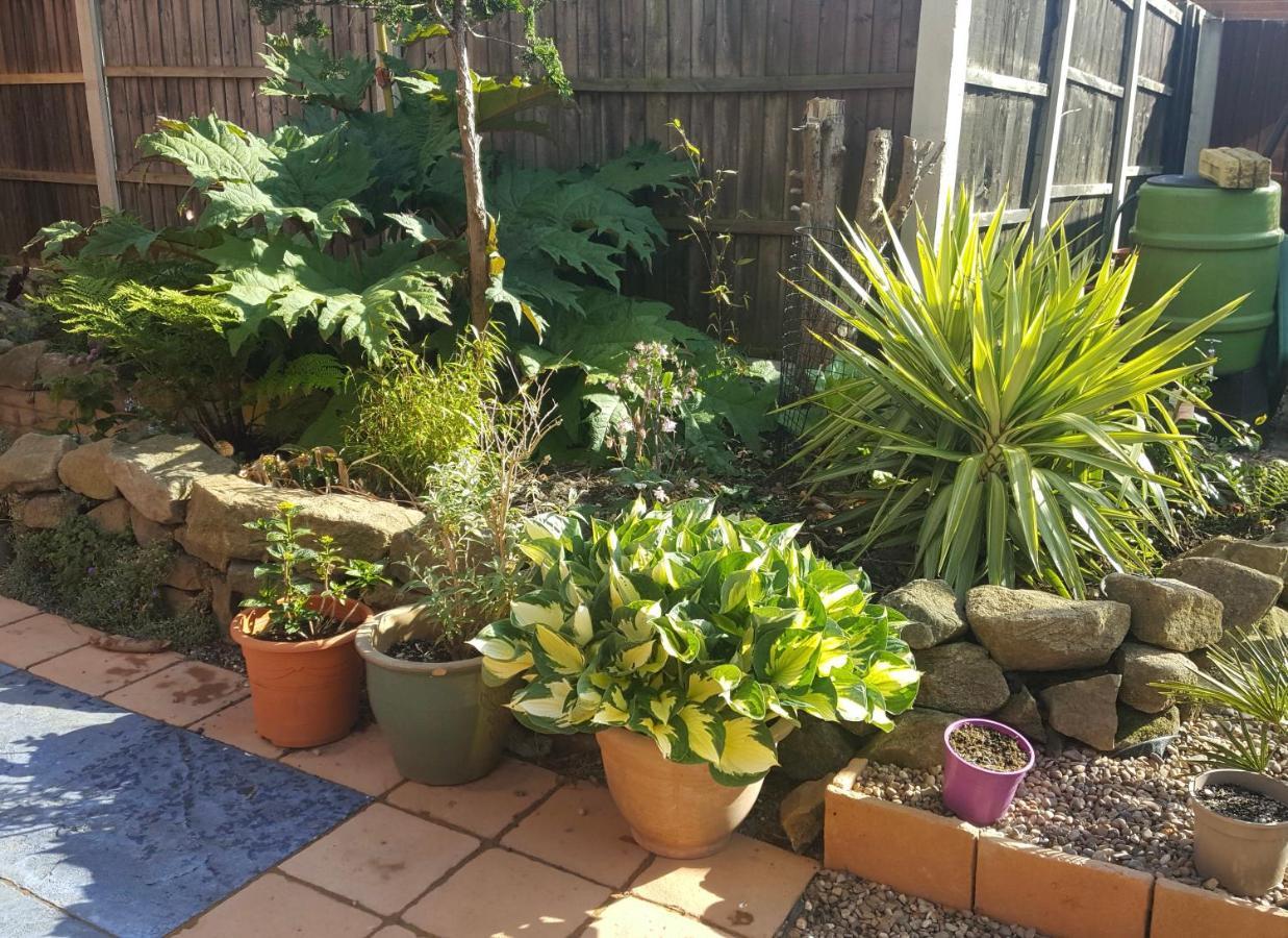 Self Contained Ground Floor Bedroom With Ensuite Wet Room Continental Breakfast Included Parking For 1 Car Outside Heanor Екстериор снимка